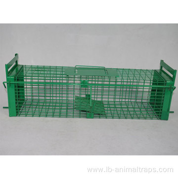 Collapsible Live Animal Cage Trap